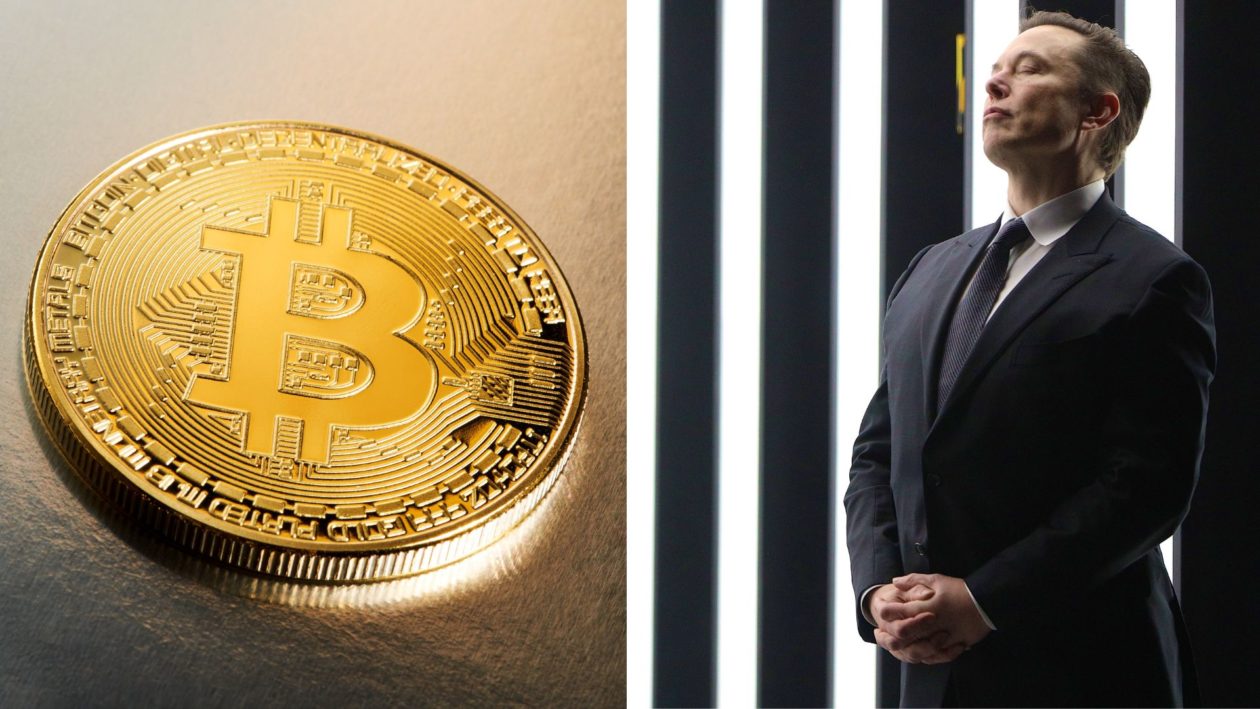 Elon Musk and physical representation of Bitcoin.