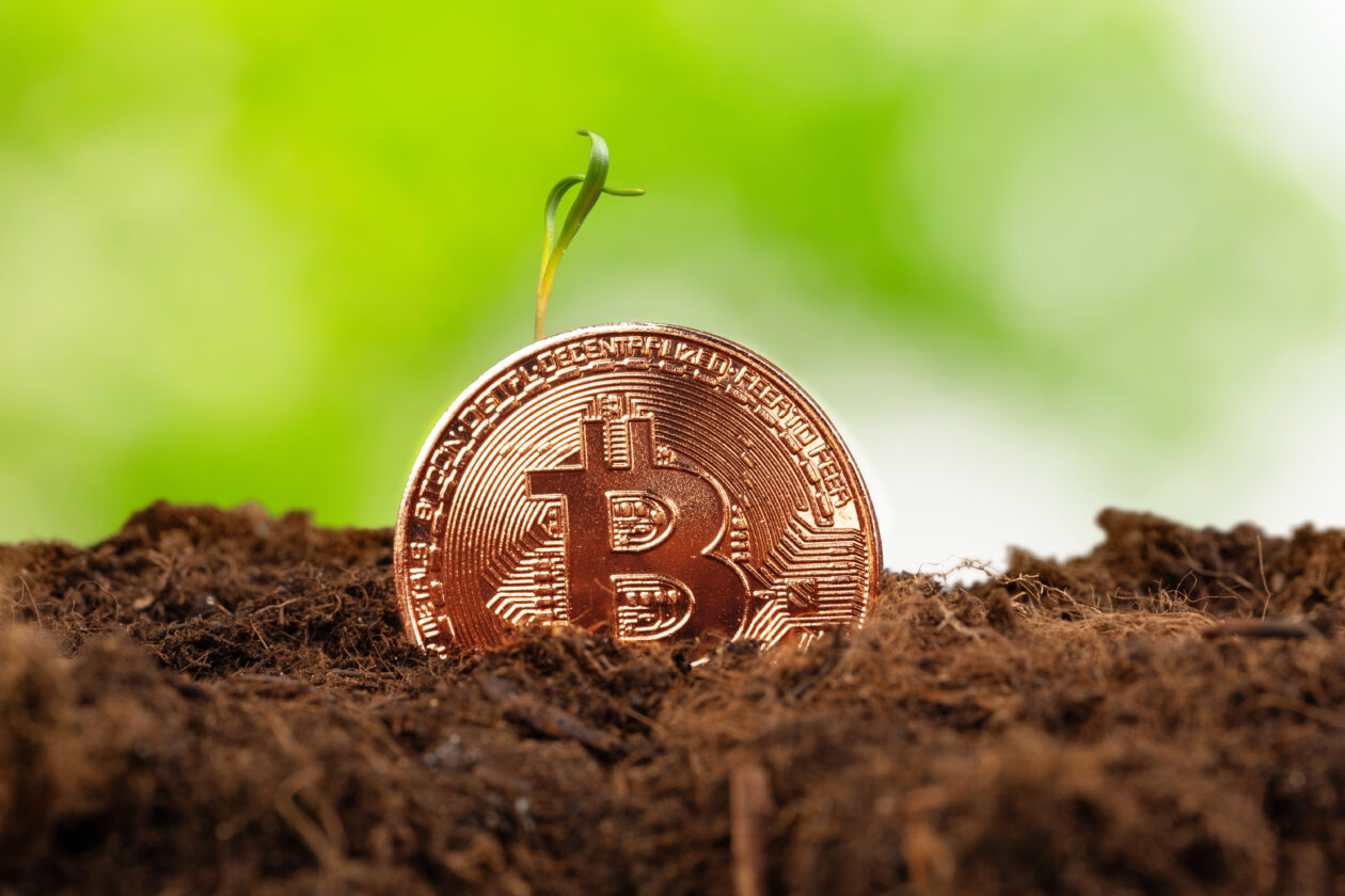 Bitcoin slips, Ether inches up, top 10 cryptos gain as investors remain upbeat 7 Bitcoin sprout | Bitcoin surges above US$28,000 on institutional adoption; Ether gains; U.S. equity futures down | Markets, BTC - Bitcoin, ETH - Ethereum, Non-Fungible Token - NFT, ETF